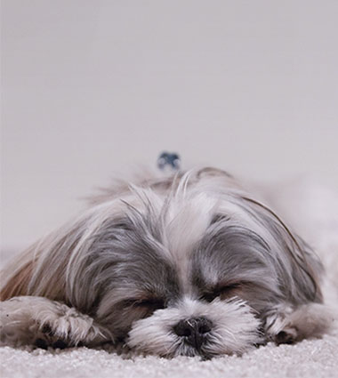 如何度過(guò)適應(yīng)期？