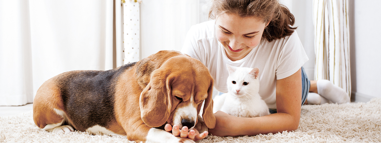 我們，是連接您與寵物之間的橋梁