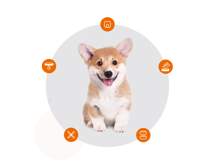 如何為幼犬準(zhǔn)備新家生活？