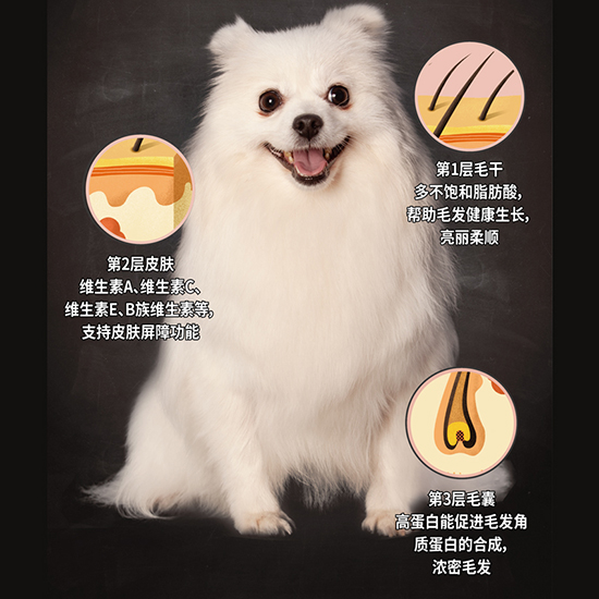 比瑞吉無(wú)谷六種肉全價(jià)犬糧（全期）