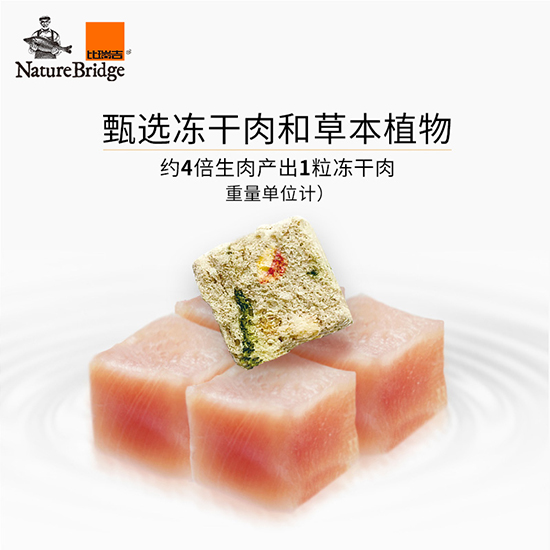 比瑞吉優選全價英國短毛貓成年期貓糧