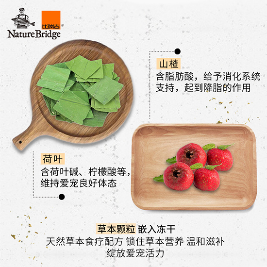 比瑞吉優選全價英國短毛貓成年期貓糧