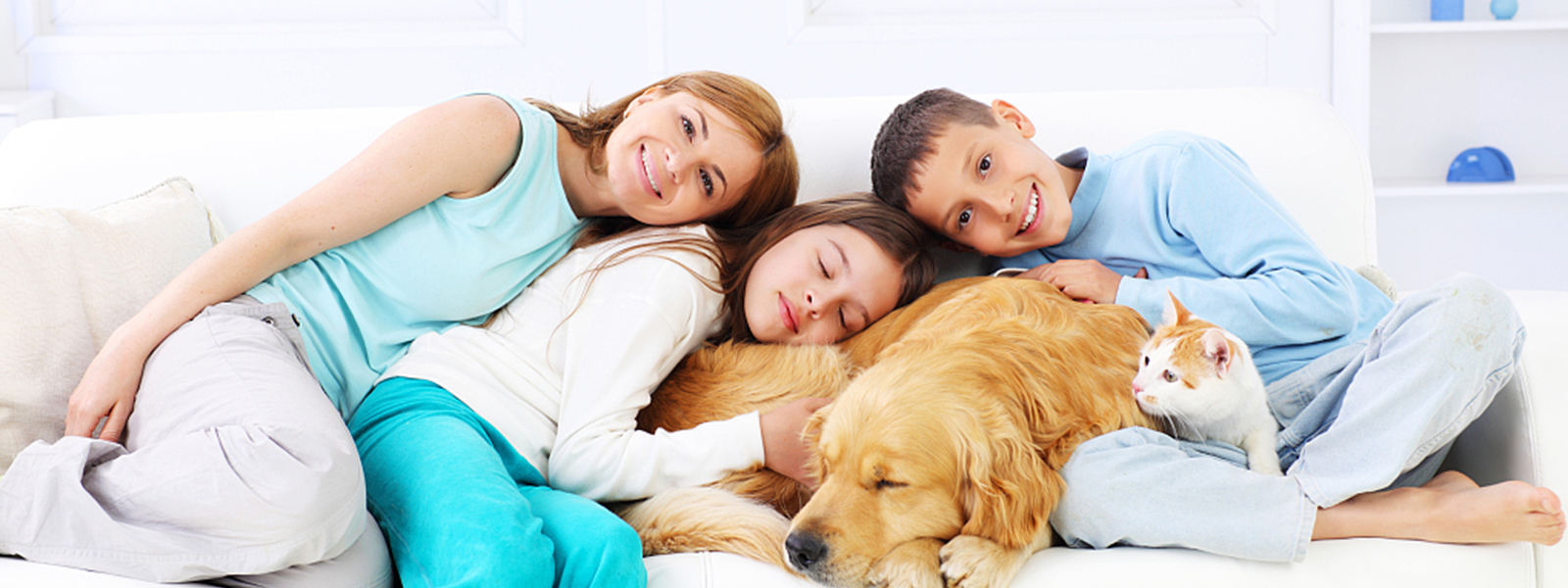 為全球養寵人士打造更具品質感的消費體驗